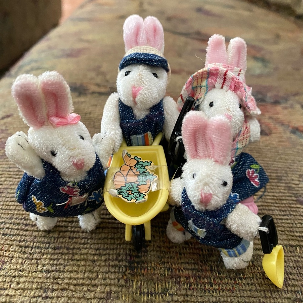 Rabbit Family